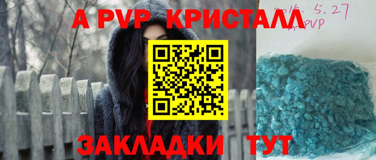 A PVP СК КРИС Тольятти