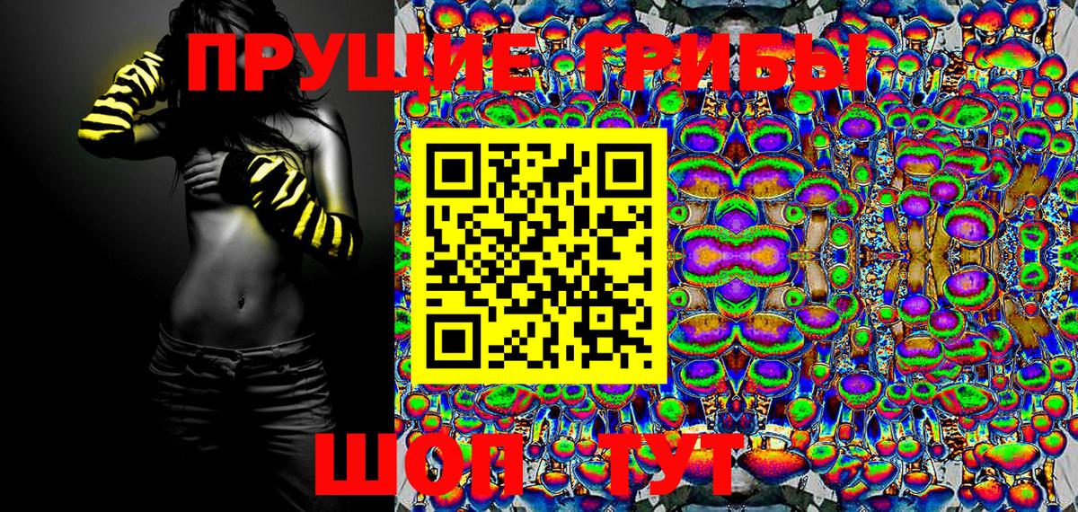 Псилоцибиновые грибы Psilocybine cubensis  Вход с VPN  как найти   Тольятти 